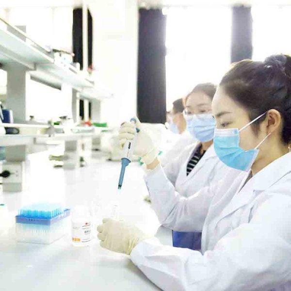 lab2 lab2